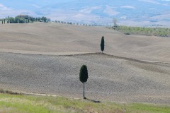 Val-d_Orcia-03_