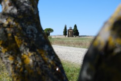Val-d_Orcia-12_