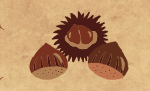 COP_CASTAGNE